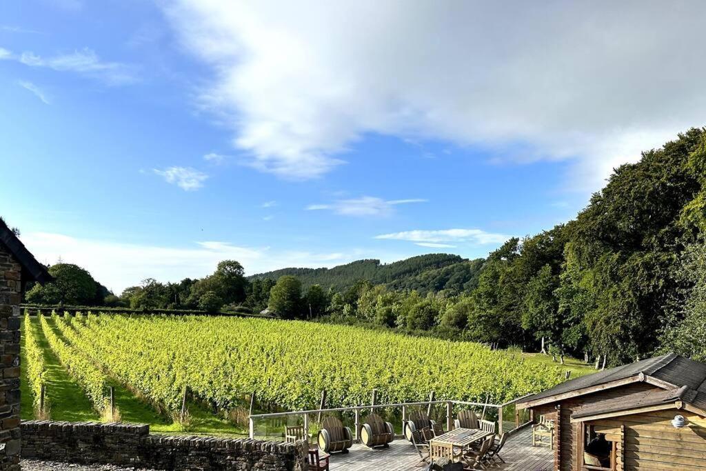 Vineyard Country Cottage Llanerch-Aeron 외부 사진